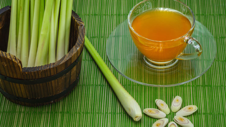 tanaman herbal yang sering ditemukan di dapur sebagai bumbu masak, Serai