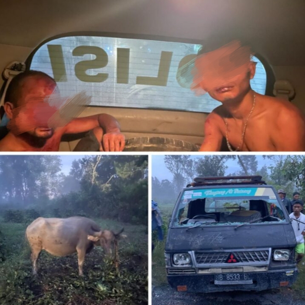 Tiga orang laki-laki tertangkap basah saat mencoba menaikkan tiga ekor kerbau ke dalam sebuah mobil L300 berwarna hitam dengan nomor polisi BB 8533 BC