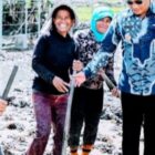 ektor pertanian kembali menjadi sorotan utama dalam kebijakan Pemerintah Kabupaten Humbang Hasundutan, di mana Wakil Bupati Dr. Oloan Paniaran Nababan, SH, MH menekankan pentingnya pertanian dalam menjaga ketahanan pangan nasional dan mendukung pertumbuhan ekonomi
