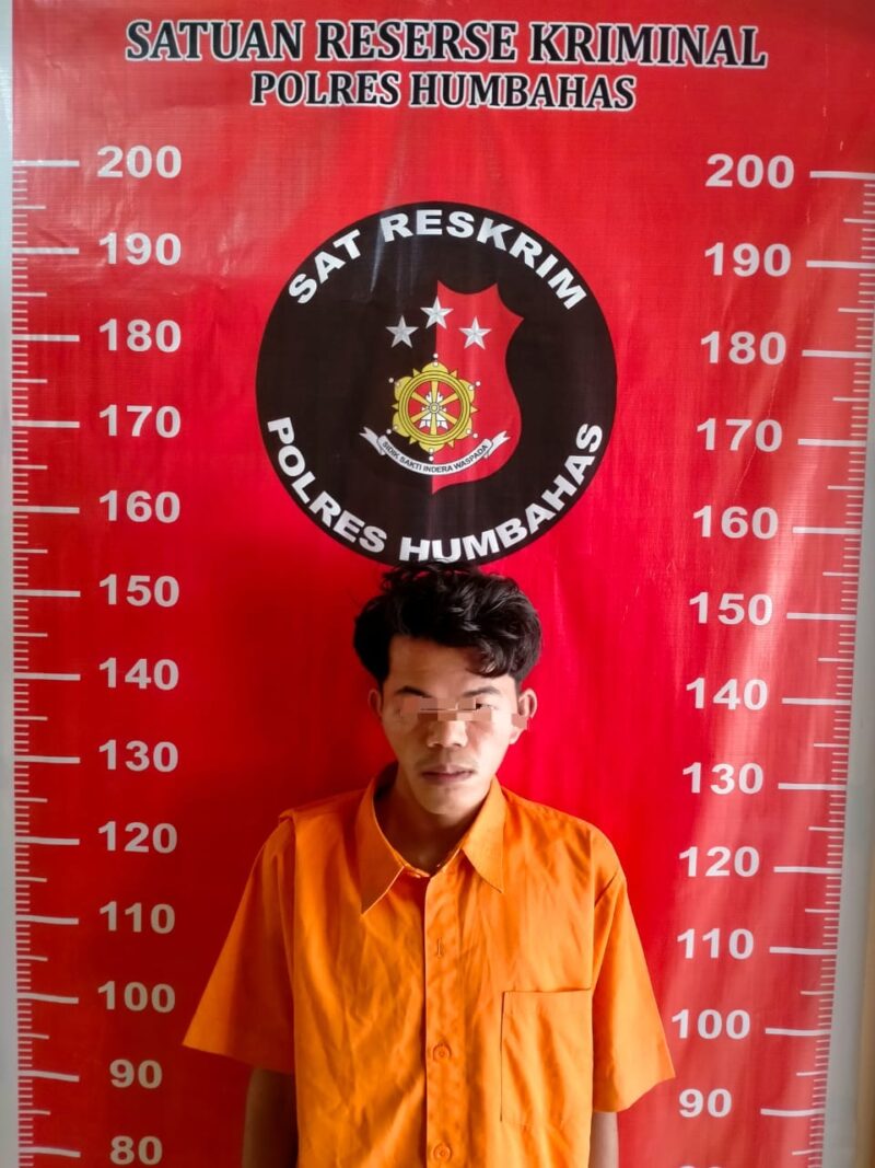 Pelaku berinisial HPM (25 tahun), yang bekerja sebagai karyawan dan berdomisili di Kabupaten Agam, Sumatera Barat, ditangkap pada Rabu, 4 September 2024, pukul 00.30 WIB