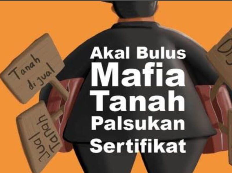 Kasus sengketa lahan seluas 500 hektar yang menjadi hak ahli waris Jamada Situmorang, Sarma Intan Situmorang, di Desa Pematang Ibul, Kecamatan Bangko Pusako, Kabupaten Rokan Hilir, Provinsi Riau, terus menjadi sorotan publik