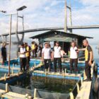 Sebanyak 59 anggota Polri dan Pegawai Negeri Sipil (PNS) Polda Maluku yang mendekati masa pensiun, meninjau usaha budidaya ikan di Tanjung Marthafons, Poka, Kota Ambon, Selasa (24/9/2024)