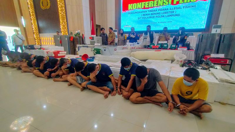 Direktorat Polisi Air dan Udara (Ditpolairud) Polda Lampung berhasil menyelamatkan potensi kerugian negara sebesar Rp37,3 miliar dari kasus penyelundupan dan perdagangan ilegal benih bening lobster (BBL) sebanyak 149.400 ekor