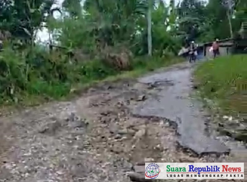 Kondisi ruas jalan di Desa Siantar Sitanduk, Kecamatan Tarabintang, Kabupaten Humbang Hasundutan (Humbahas), Sumatera Utara, memprihatinkan