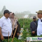 Bupati Humbang Hasundutan, Dosmar Banjarnahor, SE, menyambut kunjungan kerja perwakilan Kementerian Pertanian (Kementan) di lokasi Food Estate, Desa Hutajulu, Kecamatan Pollung, Rabu (4/12)