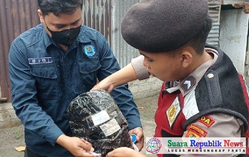 Upaya penyelundupan narkotika jenis ganja seberat 54,94 kilogram berhasil digagalkan oleh tim gabungan Bea Cukai Pangkalpinang